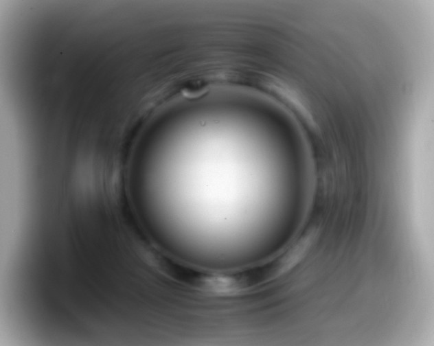 X0000099570265200805231537