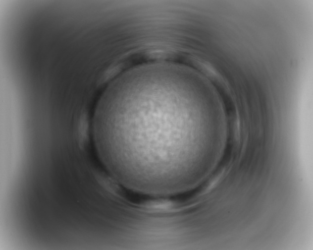 X0000099570266200805231537