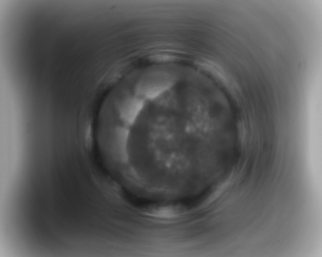 X0000099570267200805231537