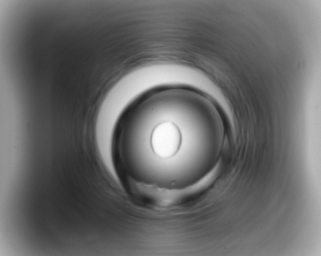 X0000099570268200805231537