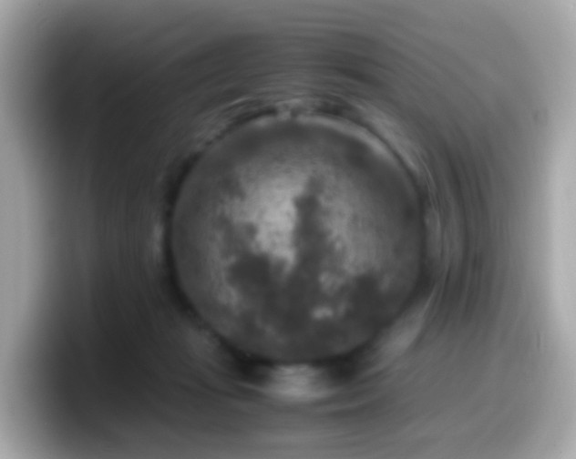 X0000099570269200805231537
