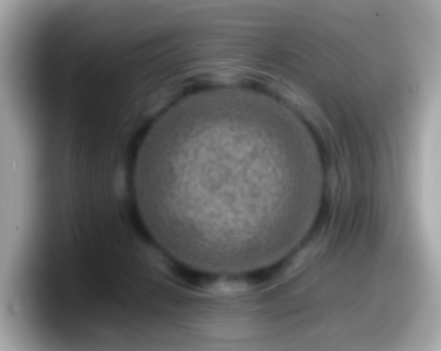X0000099570270200805231537