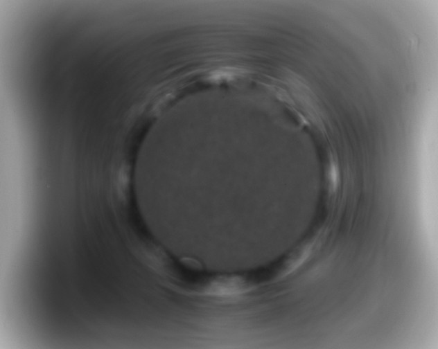 X0000099570271200805231537