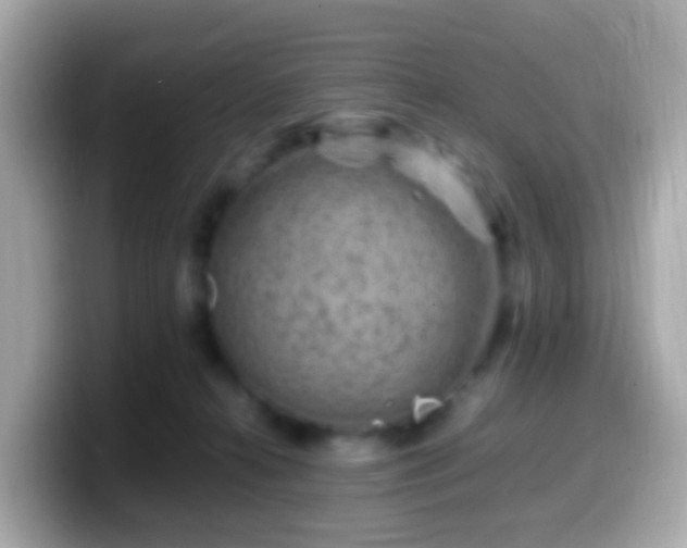 X0000099570272200805231537