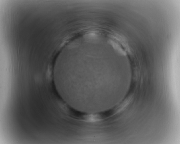 X0000099570273200805231537