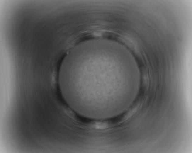 X0000099570275200805231537