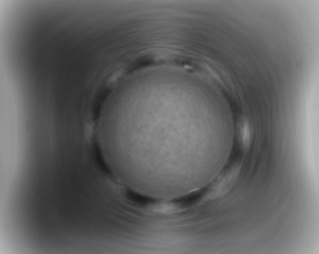X0000099570276200805231537