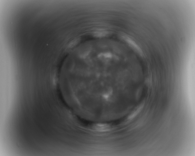 X0000099570277200805231537