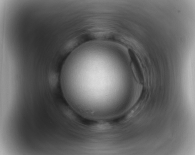 X0000099570278200805231537