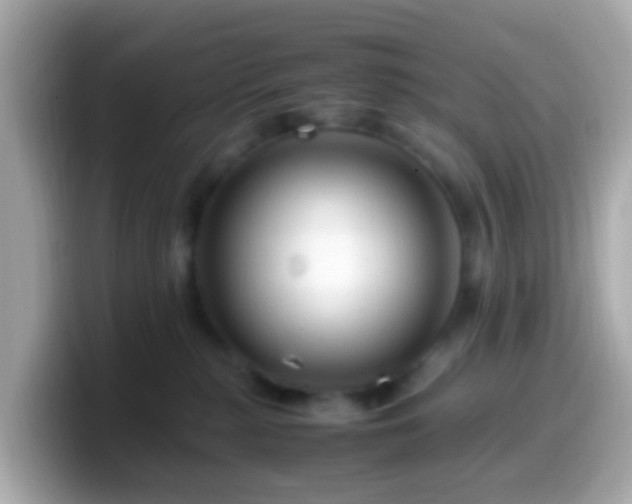 X0000099570279200805231537