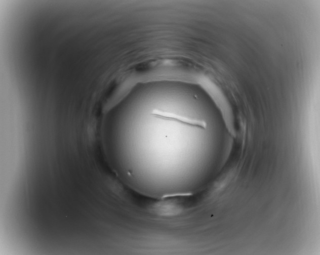 X0000099570280200805231537
