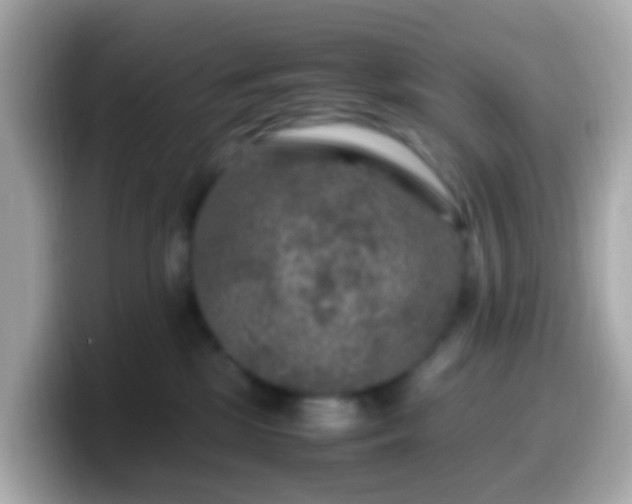 X0000099570281200805231537
