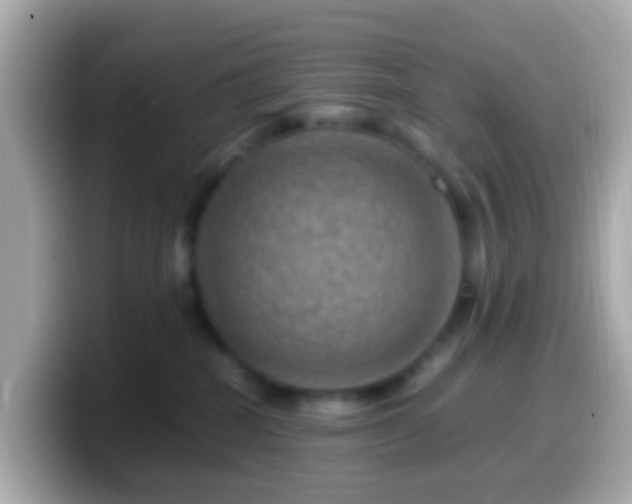 X0000099570282200805231537