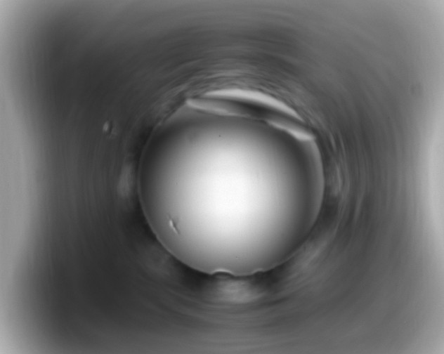 X0000099570283200805231537
