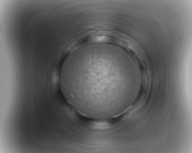 X0000099570284200805231537
