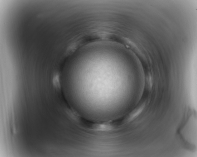 X0000099570286200805231537