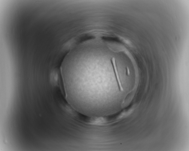 X0000099570288200805231537