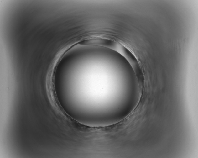 X0000099570289200805231537
