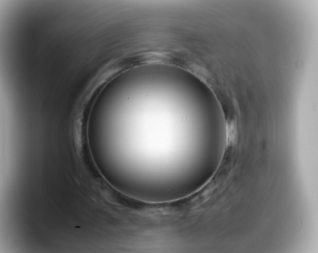 X0000099570291200805231536