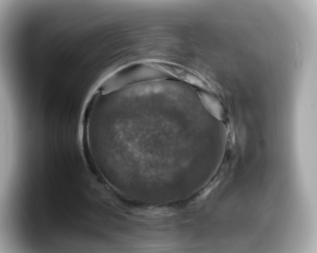 X0000099570292200805231536