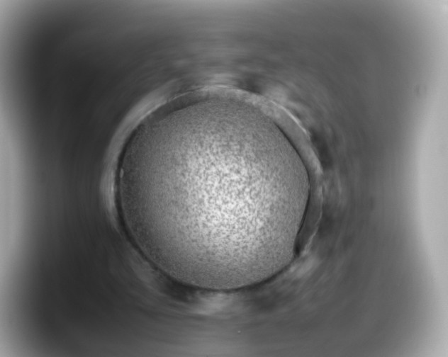 X0000099570293200805231536