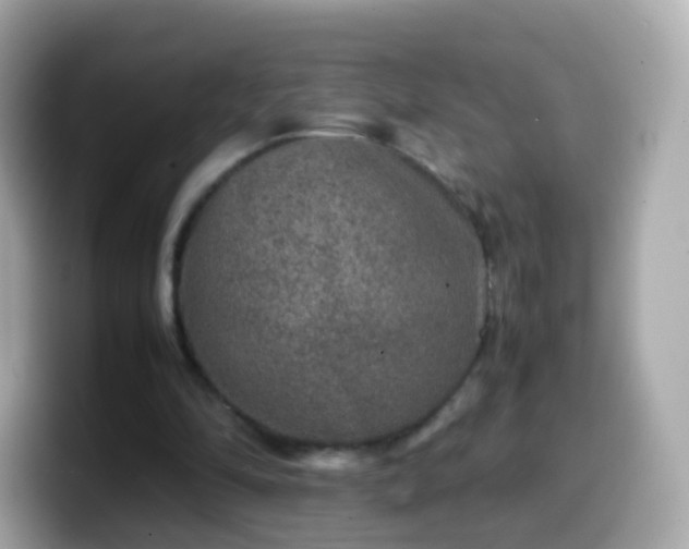 X0000099570294200805231536