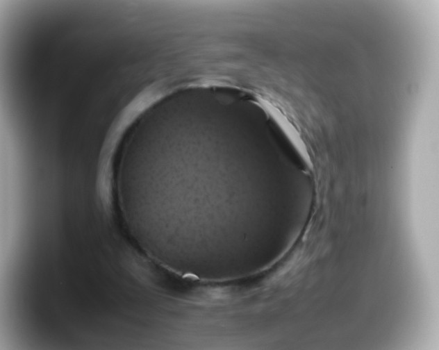 X0000099570295200805231536