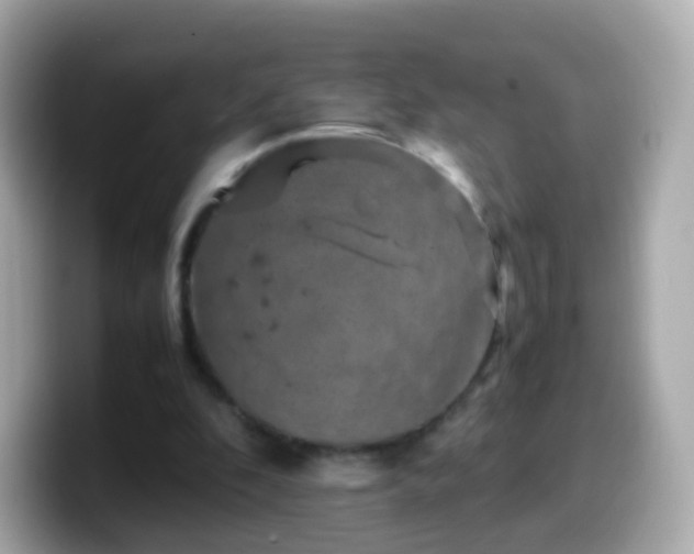 X0000099570296200805231536
