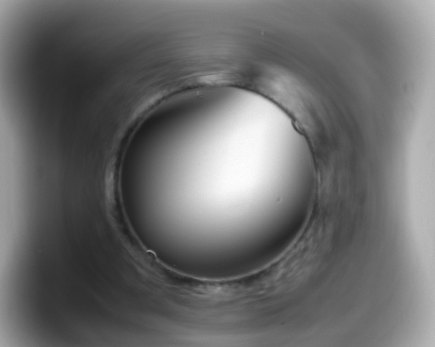 X0000099570297200805231536