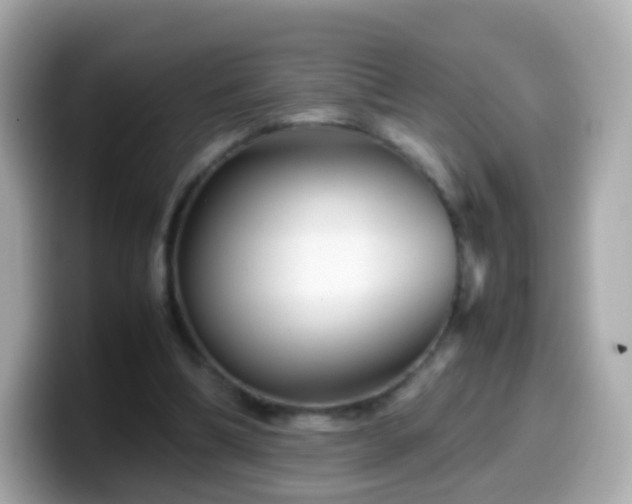 X0000099570298200805231536