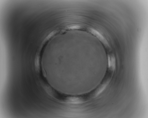 X0000099570300200805231536