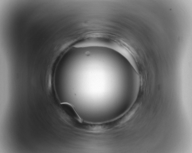X0000099570301200805231536