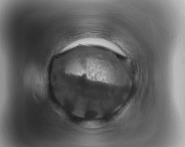 X0000099570303200805231536
