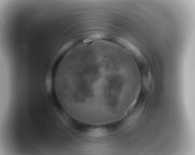 X0000099570304200805231536