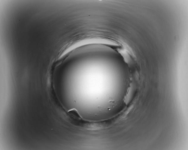 X0000099570305200805231536
