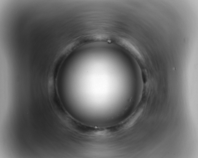 X0000099570306200805231536