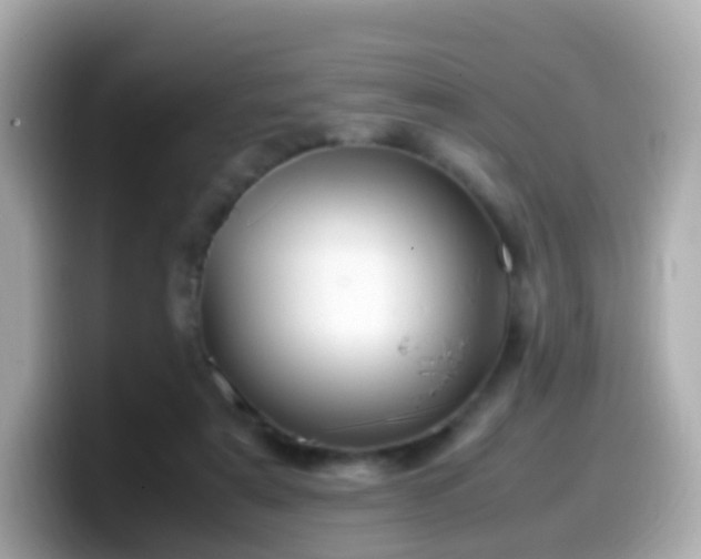 X0000099570307200805231536