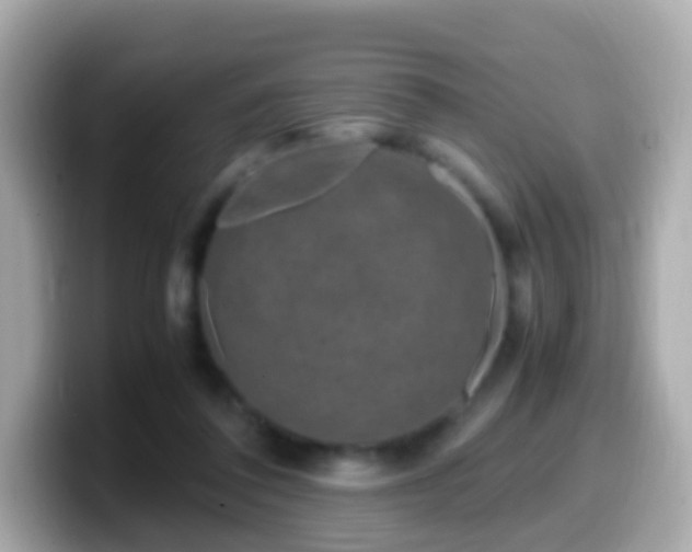 X0000099570308200805231536