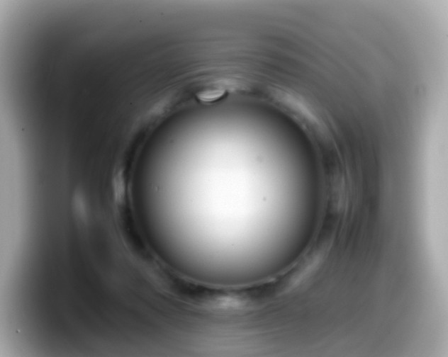 X0000099570310200805231536