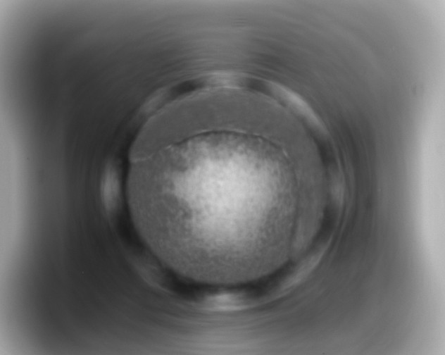 X0000099570312200805231536