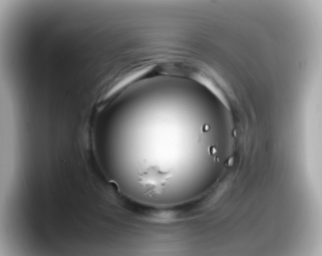 X0000099570313200805231536