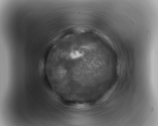 X0000099570314200805231536