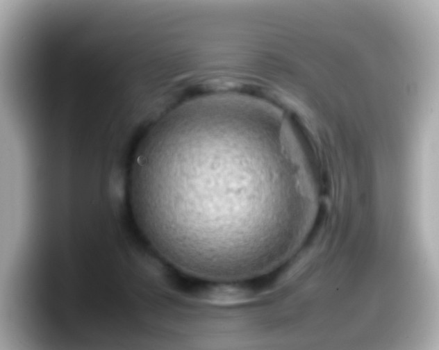 X0000099570315200805231536