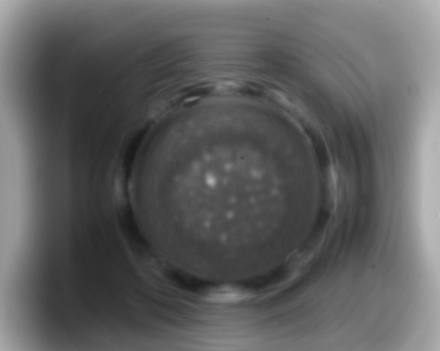 X0000099570316200805231536