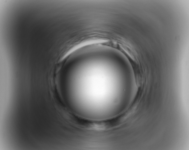 X0000099570317200805231536