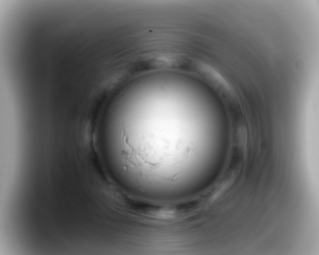 X0000099570318200805231536