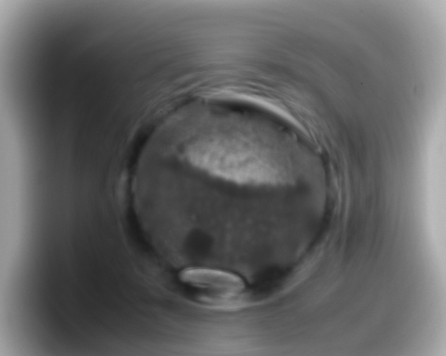 X0000099570319200805231536