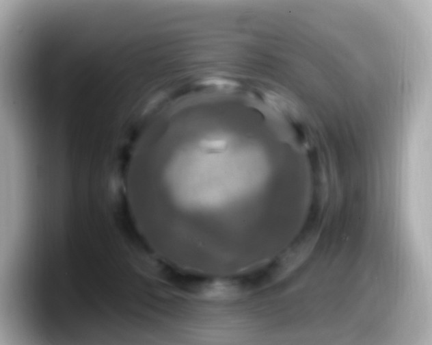 X0000099570320200805231536