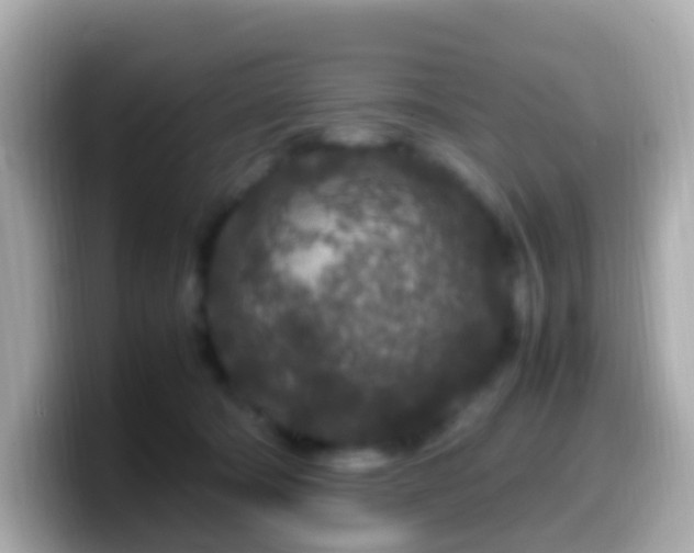X0000099570322200805231536