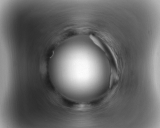 X0000099570323200805231536